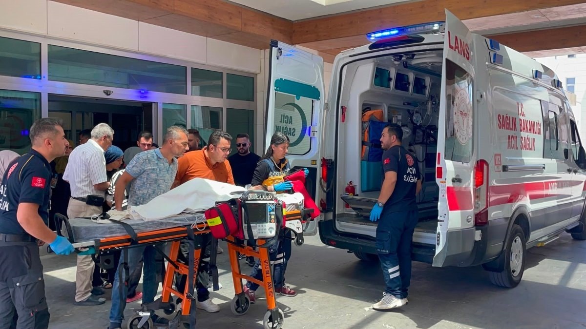 Karaman'da 3 yaşındaki çocuğa sahipli köpek saldırdı