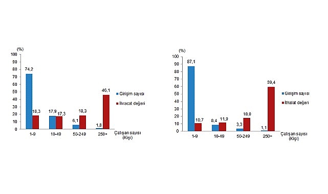 Girişim Özelliklerine Göre Dış Ticaret İstatistikleri, 2025