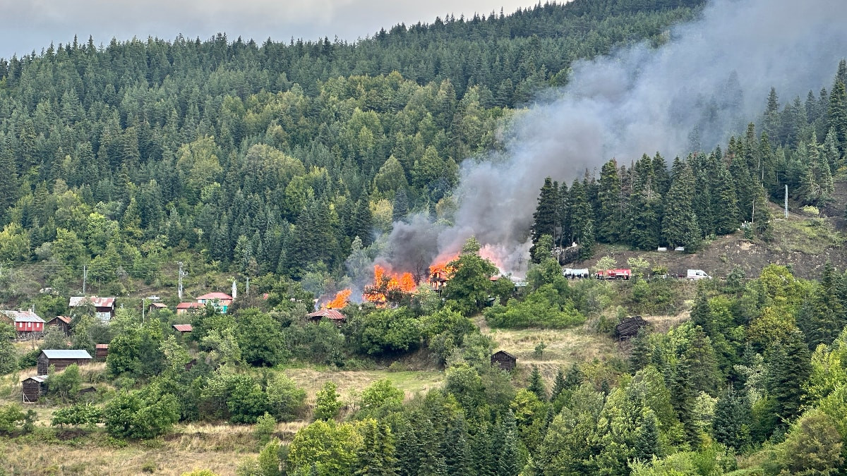 Kastamonu'da köy yangını: Alevler 4 eve sıçradı