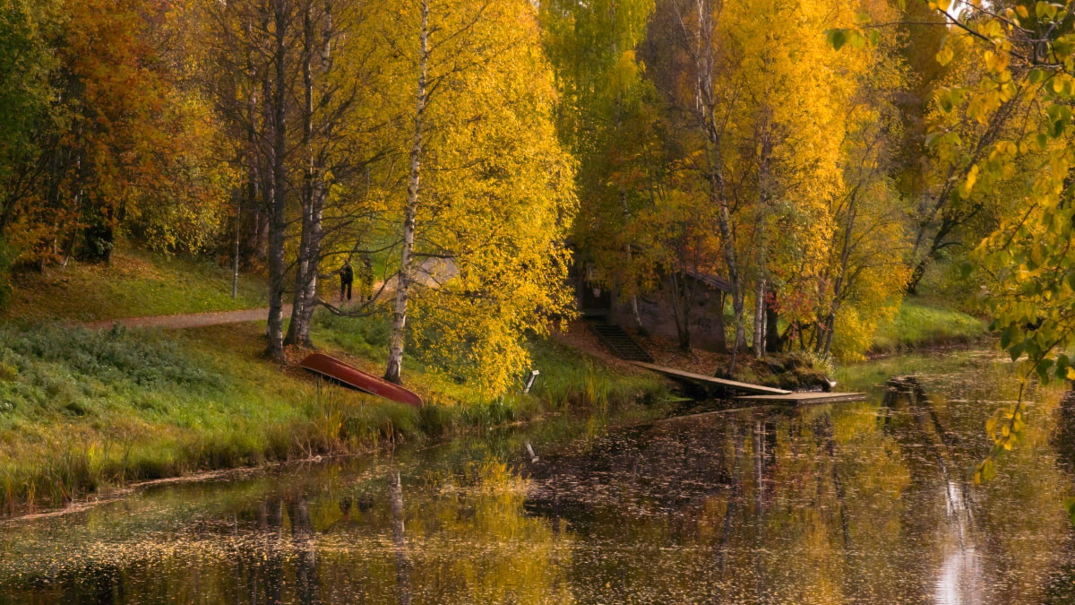 Finlandiya’da sonbahar renkleri büyüledi