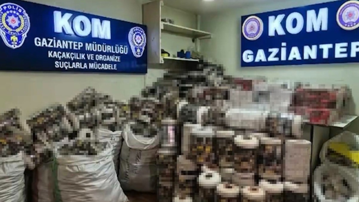 Gaziantep’te yapılan baskında 14 bin paket kaçak sigara ele geçirildi