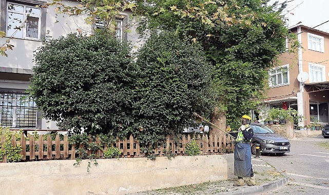 Maltepe Belediyesi'nden Büyükbakkalköy'de kapsamlı temizlik çalışması